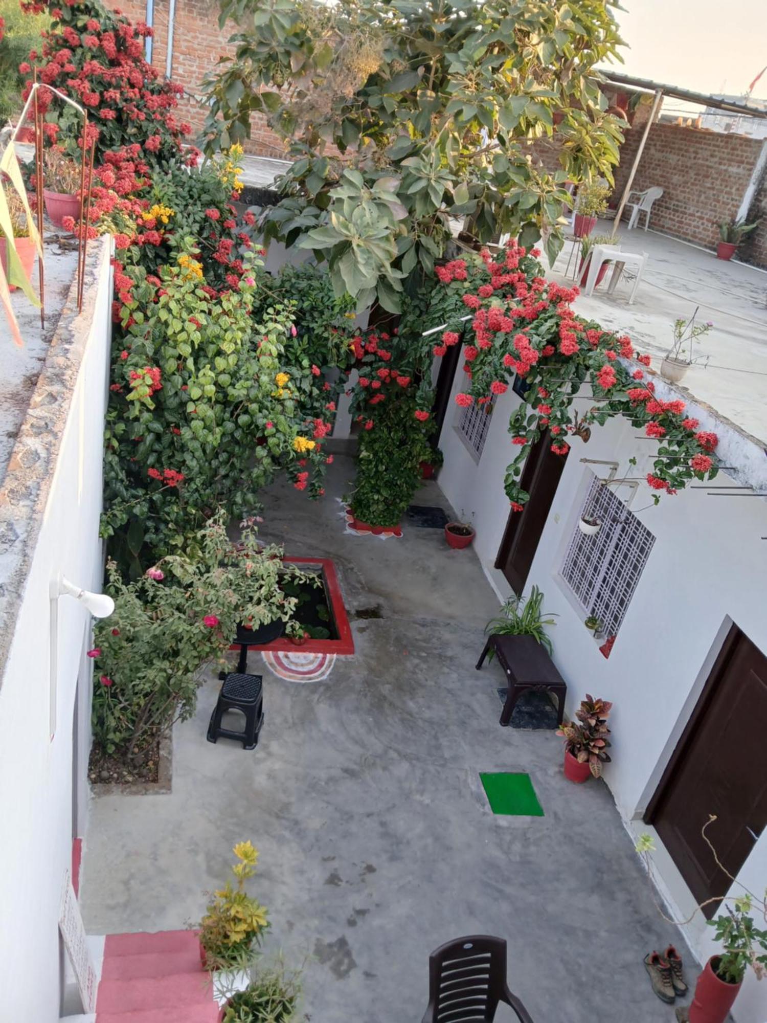 The Highvill Home Stay Khajurāho Exterior foto
